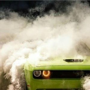 Meet your Posher, Kane